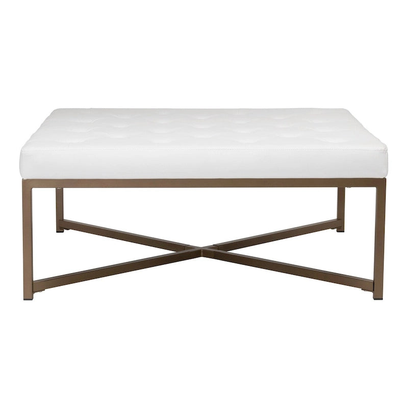 Gepolsterter Ottoman aus gebundenem Leder mit Metallrahmen